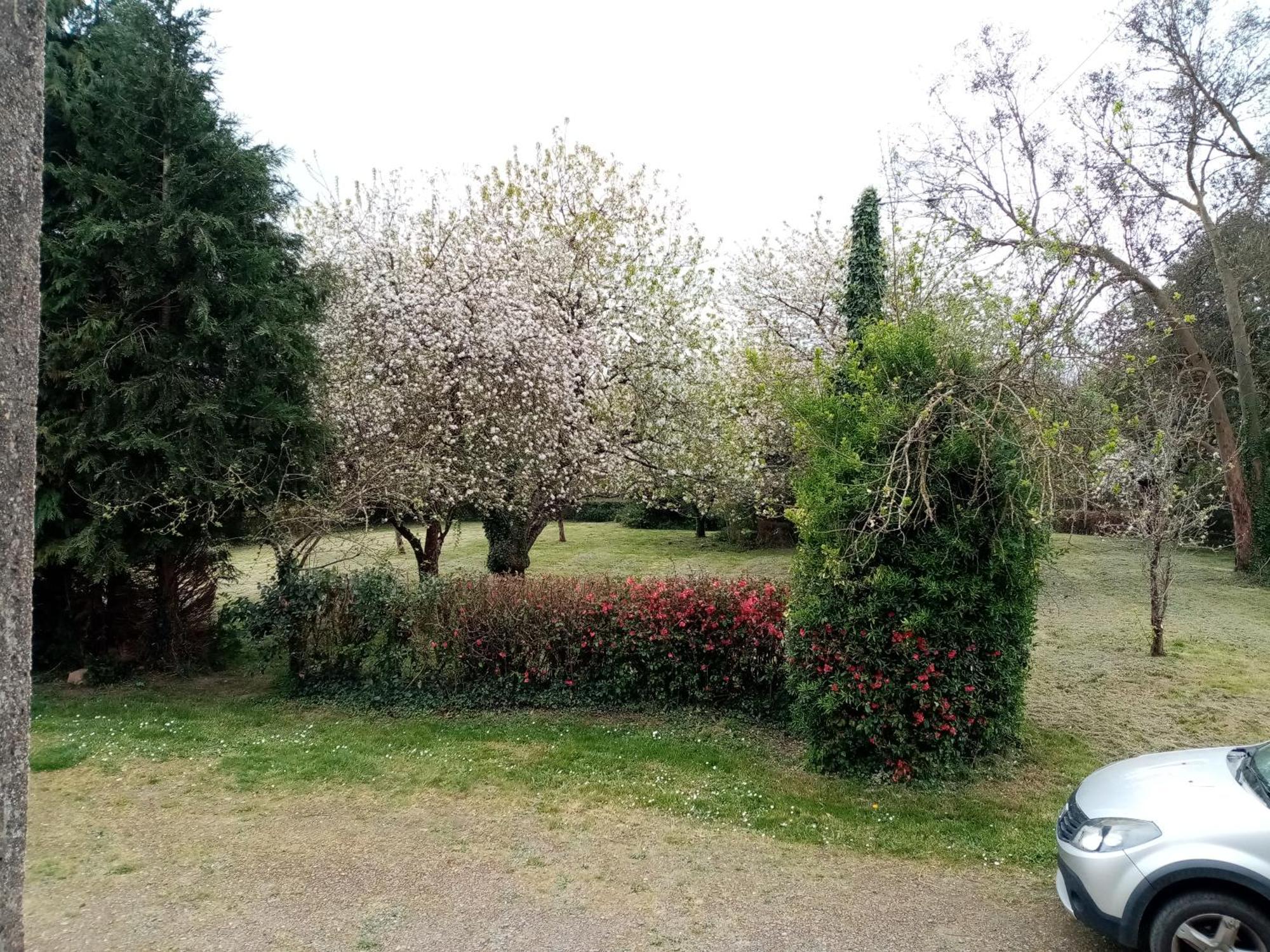 Chez Claudine Villa Peaule ภายนอก รูปภาพ
